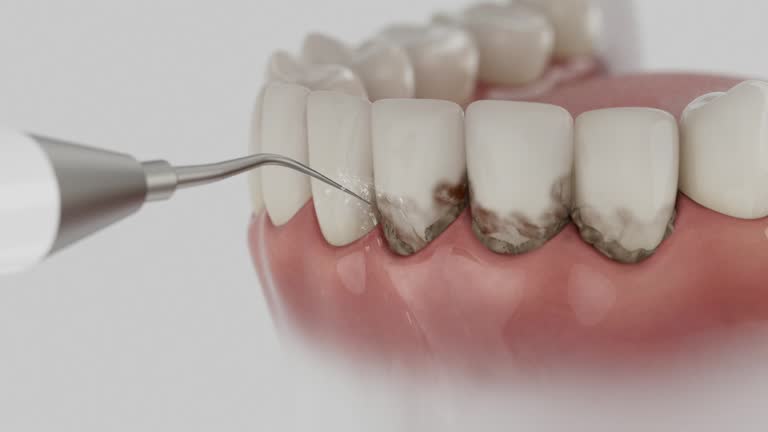 Reliable Dental contractor in Loganville, PA by Dentist Open Now
